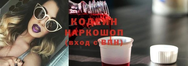 дмт Няндома