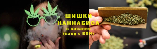 винт Осташков